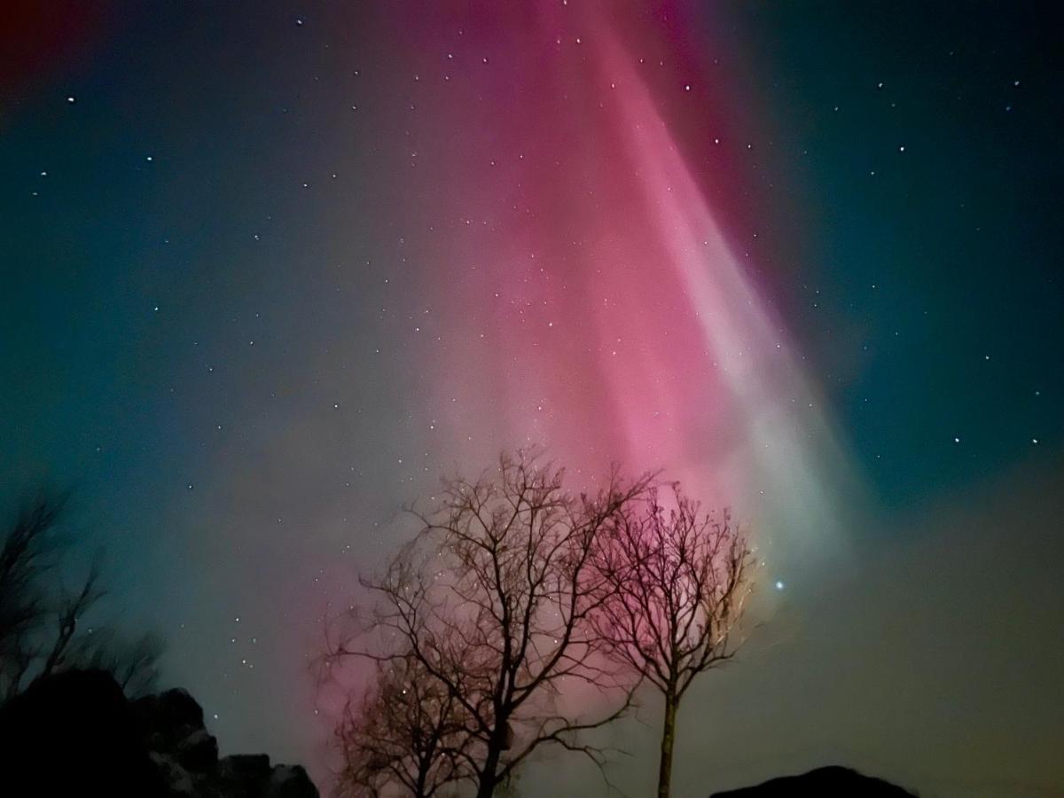 Lofoten Glampingdome Myrland Exterior foto