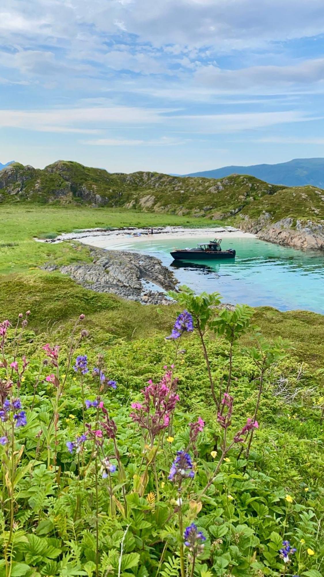 Lofoten Glampingdome Myrland Exterior foto